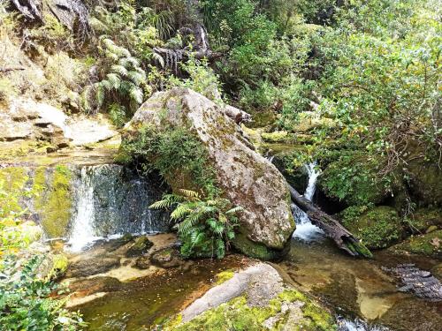 2022-10-24-Abel-Tasman-day-hike-019 1