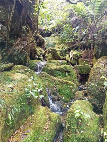 2022-10-24-Abel-Tasman-day-hike-020 1