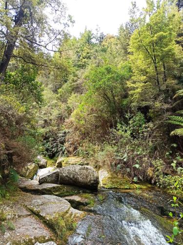 2022-10-24-Abel-Tasman-day-hike-021 1