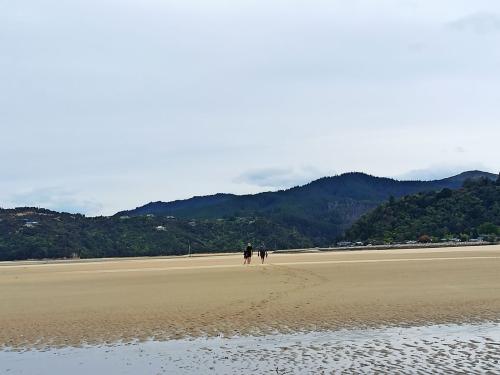 2022-10-24-Abel-Tasman-day-hike-023 1