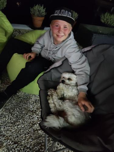 2022-11-01-Noah-Puppies-001 1