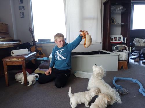 2022-11-01-Noah-Puppies-014 1