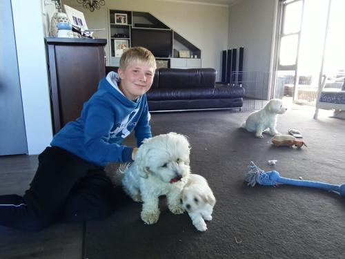 2022-11-01-Noah-Puppies-024 1