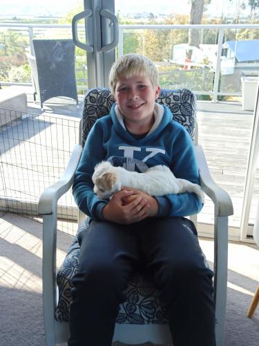 2022-11-01-Noah-Puppies-027 1