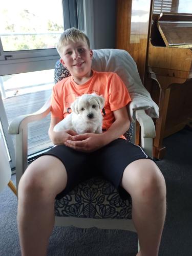 2022-11-01-Noah-Puppies-036 1