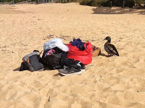 2022-11-03-Birthday-Noah-028 1