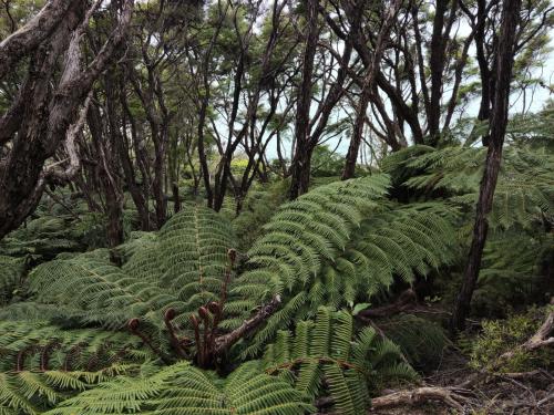 2022-11-13-Abel-Tasman-hike-029 1