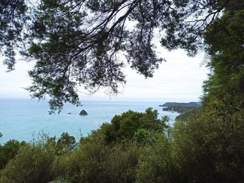 2022-11-13-Abel-Tasman-hike-030 1