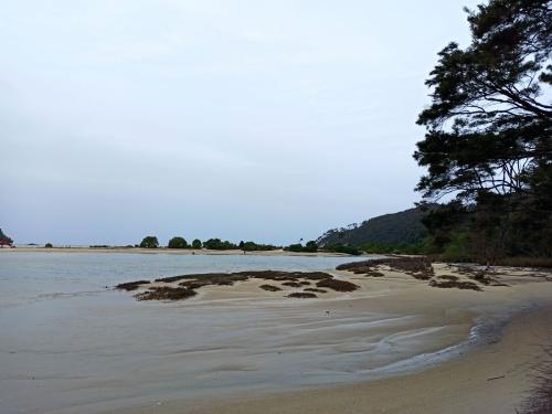 2022-11-13-Abel-Tasman-hike-040 1