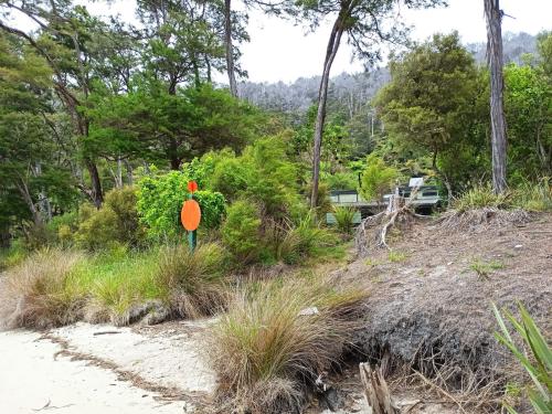2022-11-13-Abel-Tasman-hike-041 1