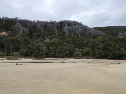 2022-11-13-Abel-Tasman-hike-046 1