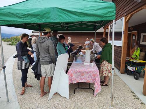 2022-11-17-Robin-Hood-11 1