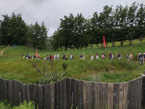 2022-11-17-Robin-Hood-15 1