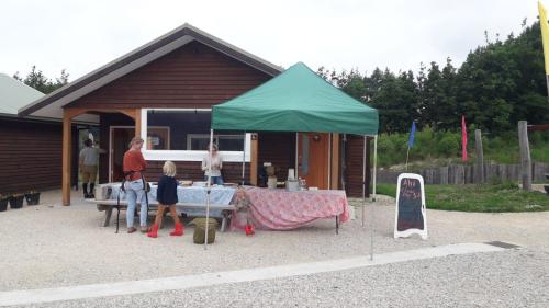 2022-11-17-Robin-Hood-29 1