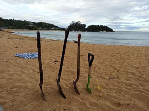 2022-11-26-Little-Kaiteriteri-32 1