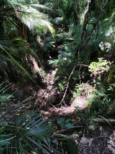 2022-12-02-Noah-school-camp-029 1