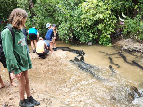 2022-12-02-Noah-school-camp-072 1