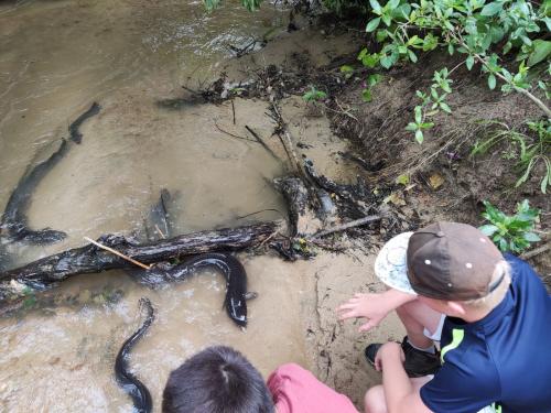 2022-12-02-Noah-school-camp-075 1