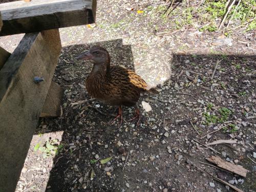 2022-12-02-Noah-school-camp-087 1