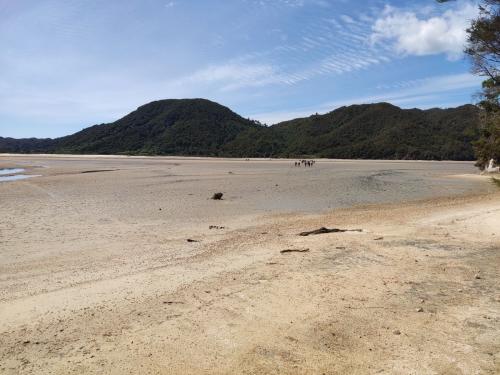 2022-12-02-Noah-school-camp-147 1