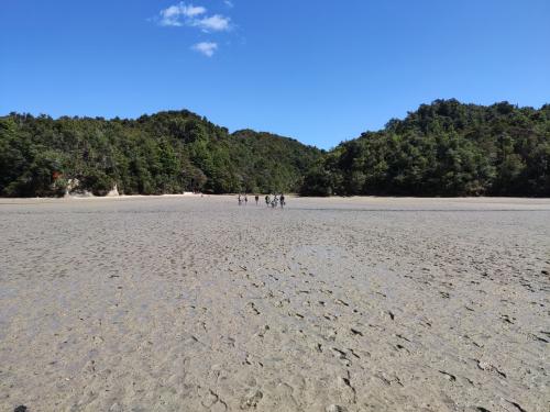 2022-12-02-Noah-school-camp-151 1