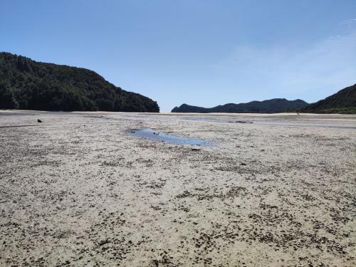 2022-12-02-Noah-school-camp-154 1