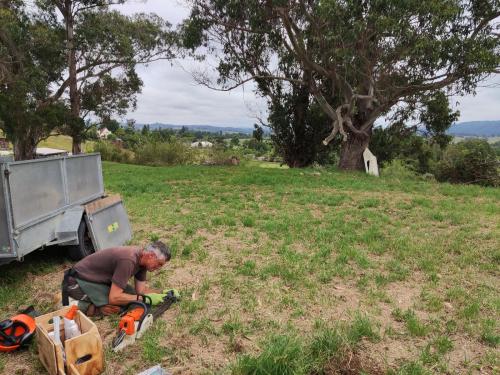 2022-12-18-cutting-trees-01 1