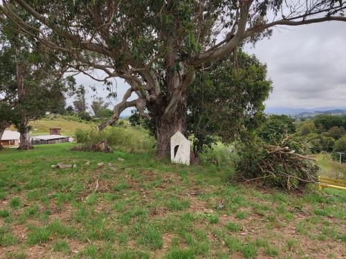2022-12-18-cutting-trees-02 1