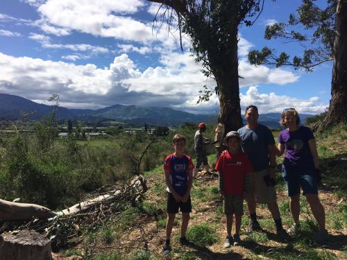 2022-12-18-cutting-trees-17 1