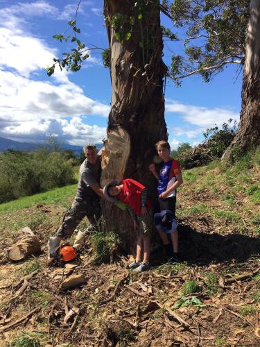 2022-12-18-cutting-trees-18 1