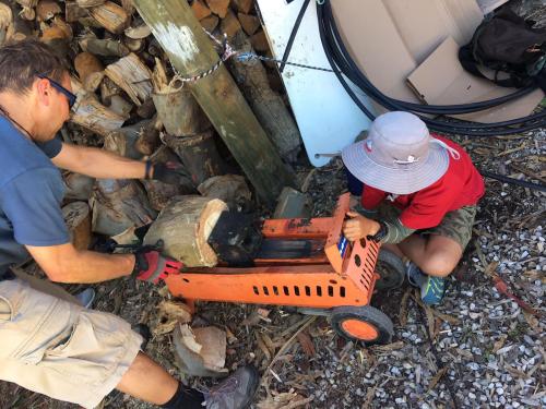 2022-12-18-cutting-trees-19 1