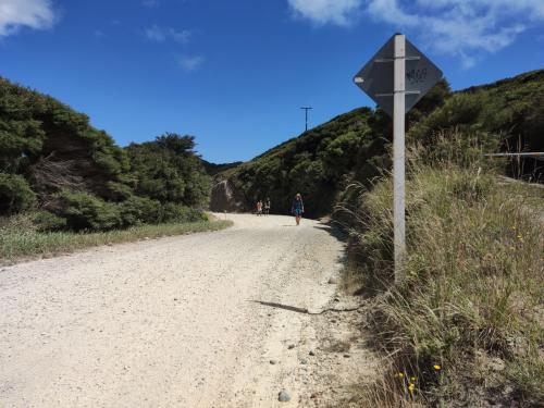 2022-12-28-Wharariki-01 1