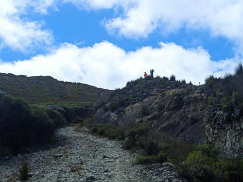 2022-12-28-Wharariki-04 1