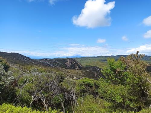 2022-12-28-Wharariki-06 1