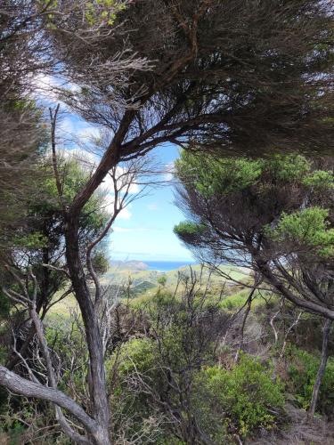 2022-12-28-Wharariki-07 1