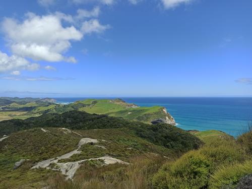 2022-12-28-Wharariki-09 1