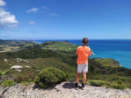 2022-12-28-Wharariki-10 1