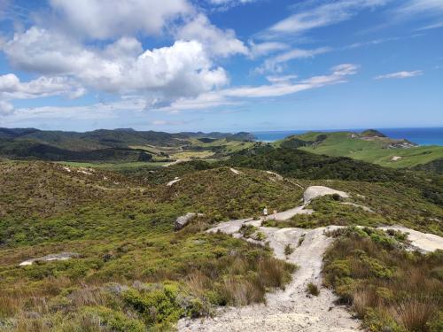 2022-12-28-Wharariki-16 1