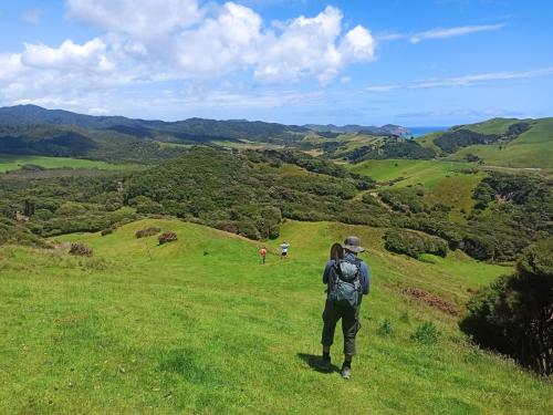 2022-12-28-Wharariki-18 1