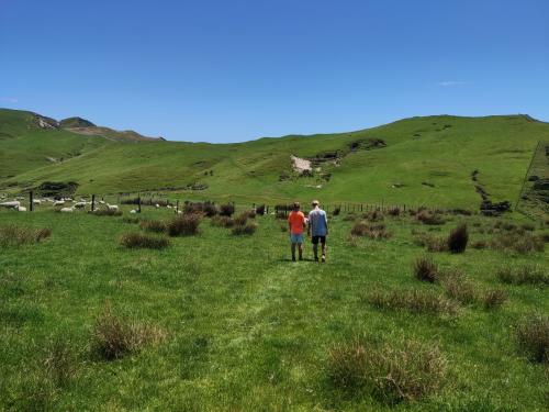 2022-12-28-Wharariki-19 1