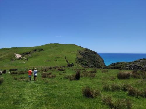 2022-12-28-Wharariki-20 1