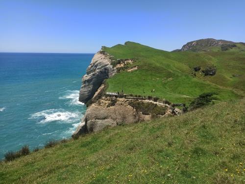 2022-12-28-Wharariki-37 1