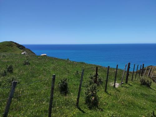 2022-12-28-Wharariki-43 1