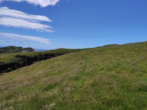 2022-12-28-Wharariki-45 1