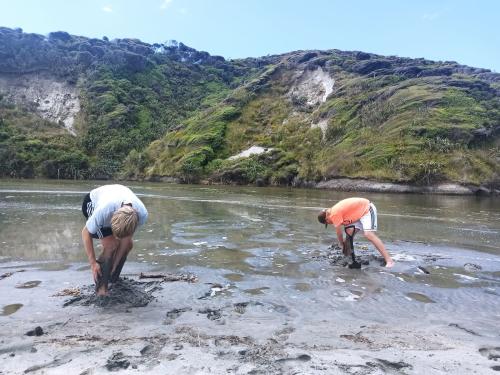 2022-12-28-Wharariki-58 1