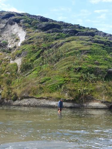 2022-12-28-Wharariki-59 1