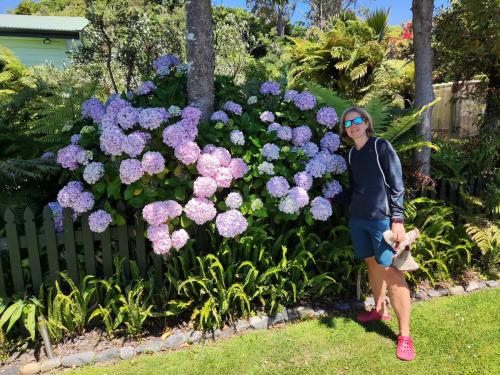 2023-01-01-Golden-Bay-02 1