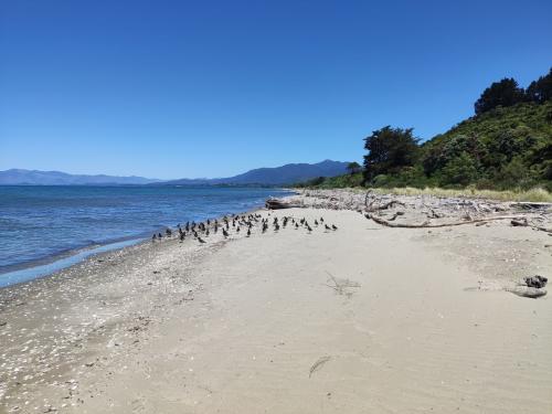 2023-01-01-Golden-Bay-03 1