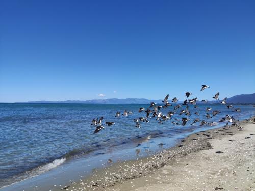 2023-01-01-Golden-Bay-04 1