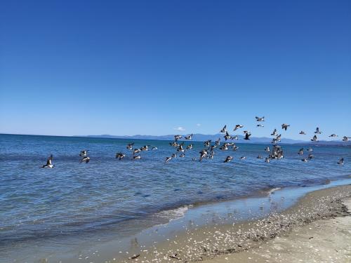 2023-01-01-Golden-Bay-05 1